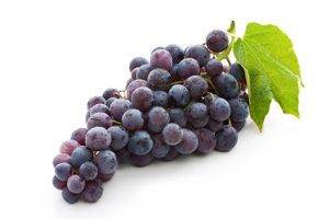 Corso Sommelier 1° Livello