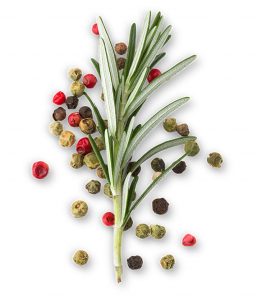 Fondamenti di Cucina