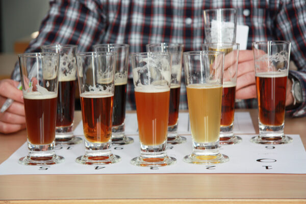 sommelier della birra sommelier della birra