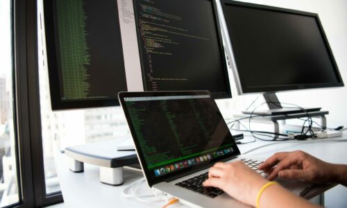 web developer web developer