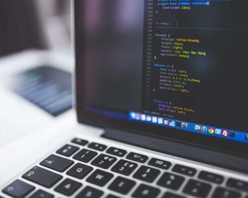 web developer web developer