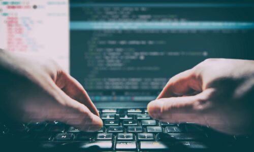 web developer web developer