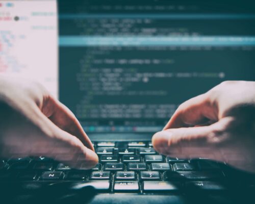 web developer web developer
