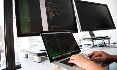 web developer web developer