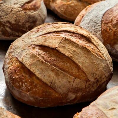 five-minute-artisan-bread-recipe-fp-400x400